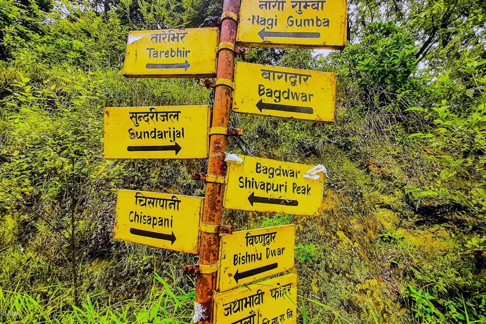 Shivapuri Day Hiking 