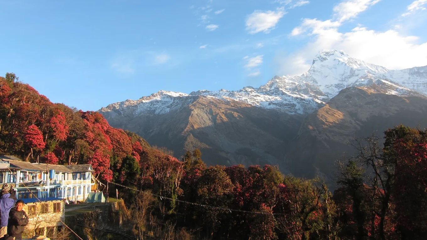 Ghorepani Poonhill Trek - Gateway Adventure Treks and Expedition